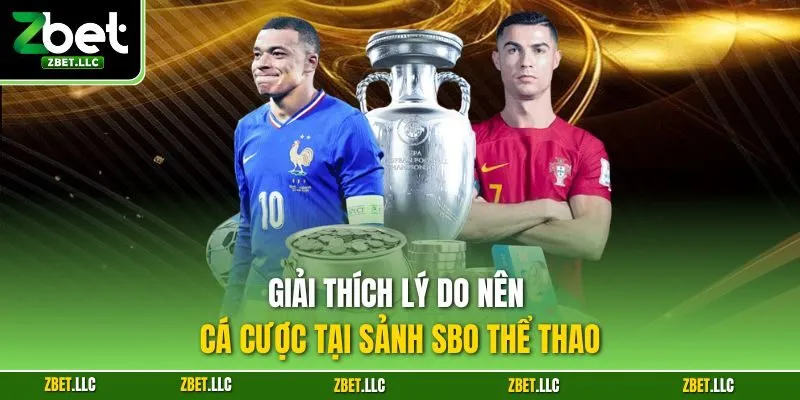 Giải thích lý do nên cá cược tại sảnh SBO thể thao